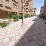 مجتمع اساتید