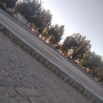 بوستان آزادگان