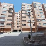 مجتمع اساتید