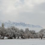 آتلیه و لابراتوار عکس و فیلم پژوه