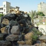 حمید رضا شرفی