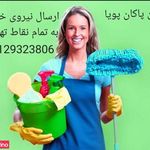 موسسه نگین پاکان پویا