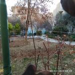 سرویس بهداشتی بوستان شیخ هادی
