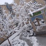 مدرسه علمیه امام باقر  
