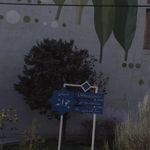 بوستان جوانه