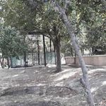 باغ پارک بزرگ امیرکبیر امیریه(باغ عالی خانی)