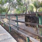 باغ پرندگان بندرعباس