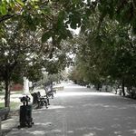 باغ پارک بزرگ امیرکبیر امیریه(باغ عالی خانی)