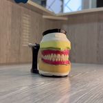 دندانسازی بامداد