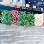 بازار بزرگ میوه و تره بار صدف
