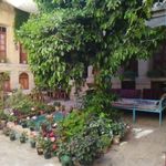 اقامتگاه سنتی لوتوس