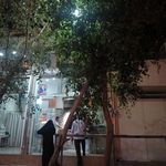 نانوایی حافظ