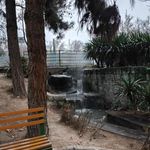 سرویس بهداشتی بوستان کودک 2