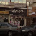 گالری بوریایی