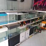 آکواریوم جزیره