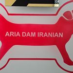شرکت سایان وین