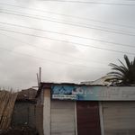 فروشگاه سموم کشاورزی پالیذ