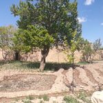 اقامتگاه ملکی