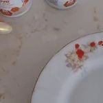 محصولات ارگانیک و تخصصی فوراور امریکا