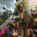 فاز باغچه ای بازار گل وگیاه غرب تهران