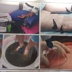 مرکز طب سوزنی و فزیوتراپی ماهور