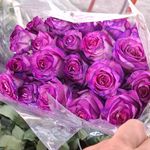 گل و گلدان محمد