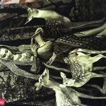 گالری فرش و تابلو فرش ترمه