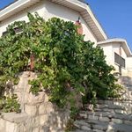 اردوگاه امام خمینی کوهرنگ