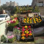 حسین نودهانی