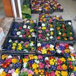 حسین نودهانی