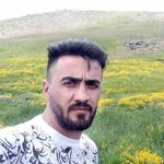 کفسابی رضا حضرتی