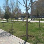 بوستان ابوذر