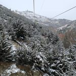 تله سی یژ چشمه
