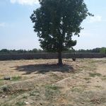 باغ ایقربلاغ