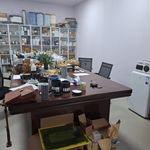 مترجم همزمان انگلیسی فاطمه امینی