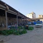 میدان مرکزی سبزی گرگان