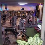 آکادمی اکسیر