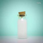 فروشگاه اینترنتی وینیکا