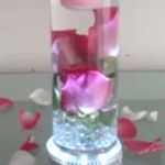 فروشگاه اینترنتی وینیکا