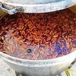 غذا آماده میثم