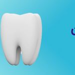 تجهیزات پزشکی دامپزشکی بهداشت و سلامت