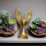 ابکاری عرفانی