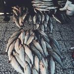 بازار بزرگ الغدیر