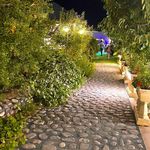 باغ رستوران شاندیز داریوش