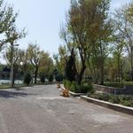 سرویس بهداشتی 1 بوستان بعثت
