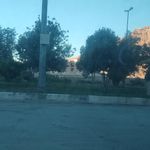 نارنجستان