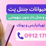 ارایشگاه حیوانات جنتل پت (تهرانپارس)