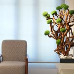 مرکز لیزر و زیبایی دمور- تخفیف 40 درصدی