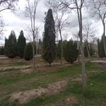 باغ وحش و پارک جنگلی شهید باهنر اراک