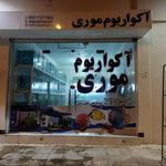 آکواریوم موری